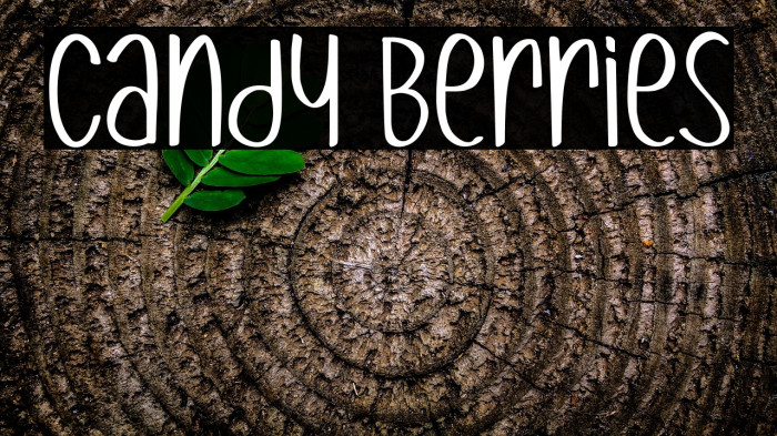 Candy Berries Example 2