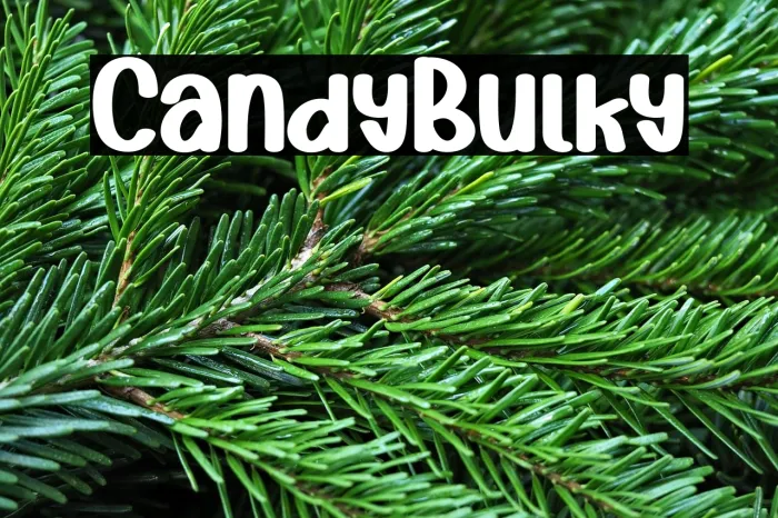 Candy Bulky Example 1