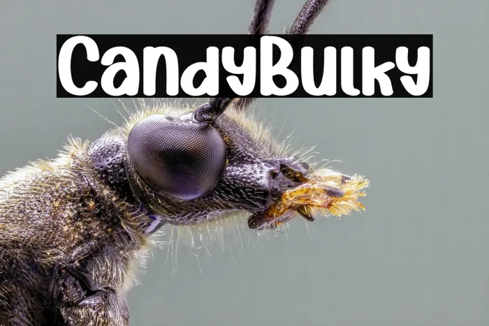 Candy Bulky Example 2