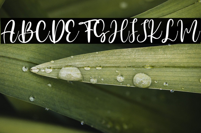 Candy Butterfly Example 2