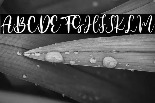 Candy Butterfly Font examples