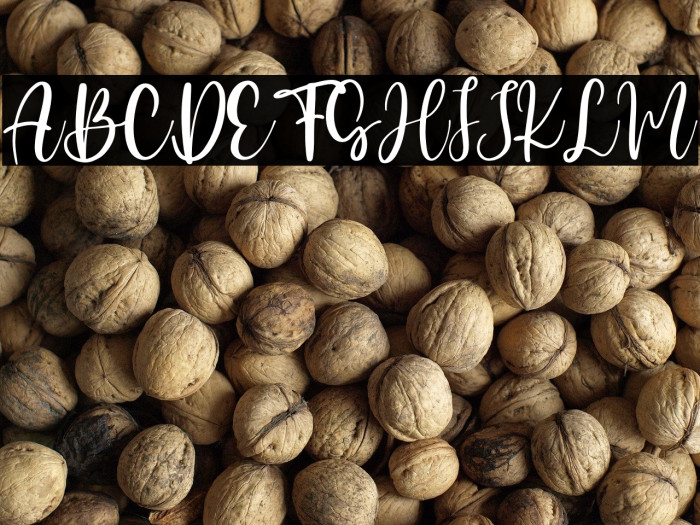 Candy Butterfly Example 3