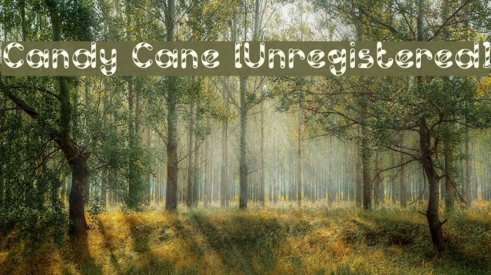Candy Cane [Unregistered] Example 1