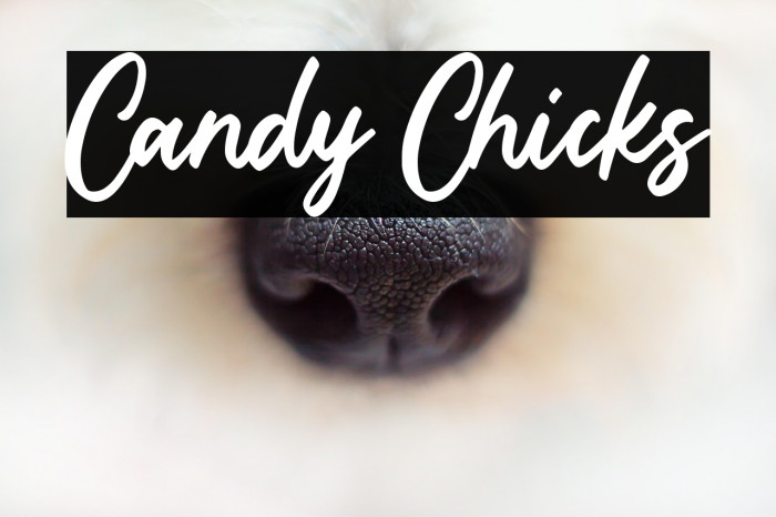 Candy Chicks Example 3