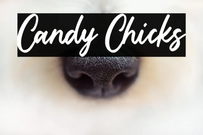 Candy Chicks Example 3