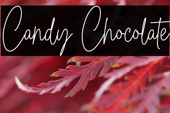 Candy Chocolate Example 3