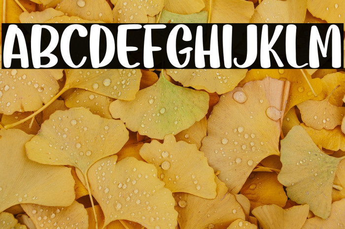 Candy Delight Example 3