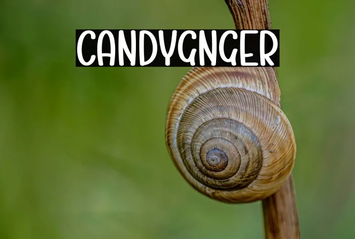 Candy Ginger Example 1