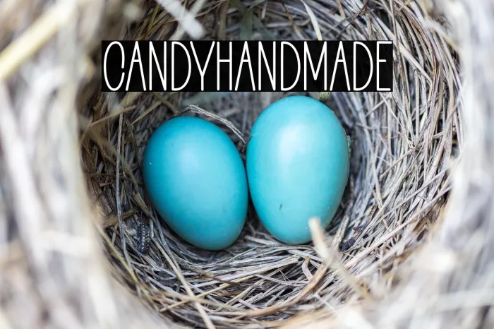 Candy Handmade Example 2