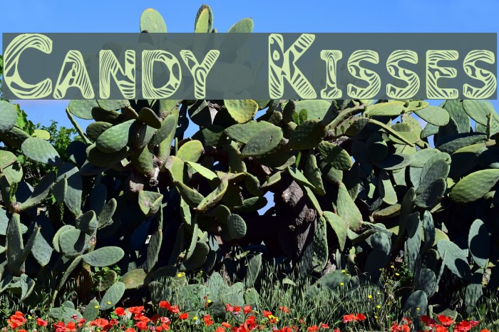 Candy Kisses Font examples