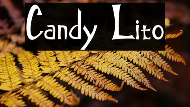 Candy Lito Example 1