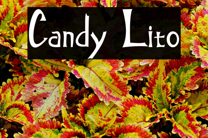 Candy Lito Example 2
