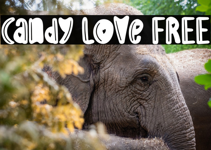 Candy Love FREE Example 3