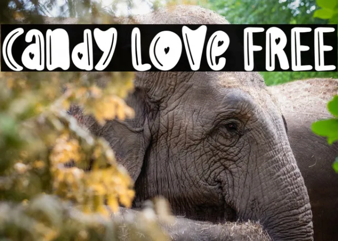 Candy Love FREE Example 3