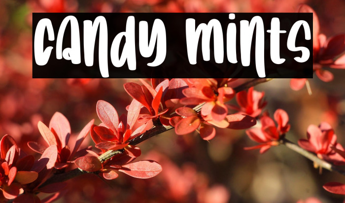Candy Mints Example 2