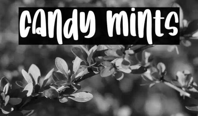 Candy Mints Font examples