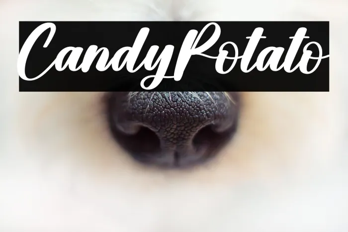 Candy Potato Example 1