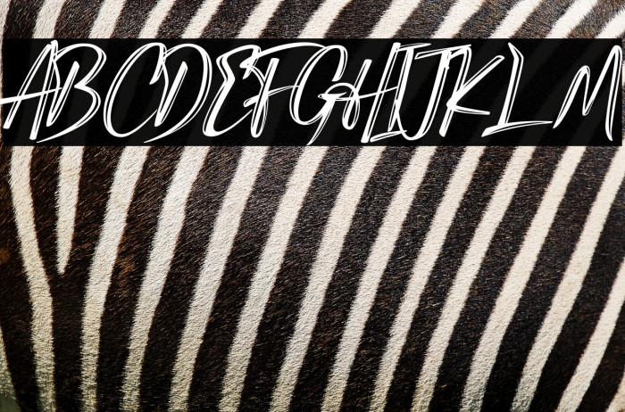 Candy Qelling Example 3