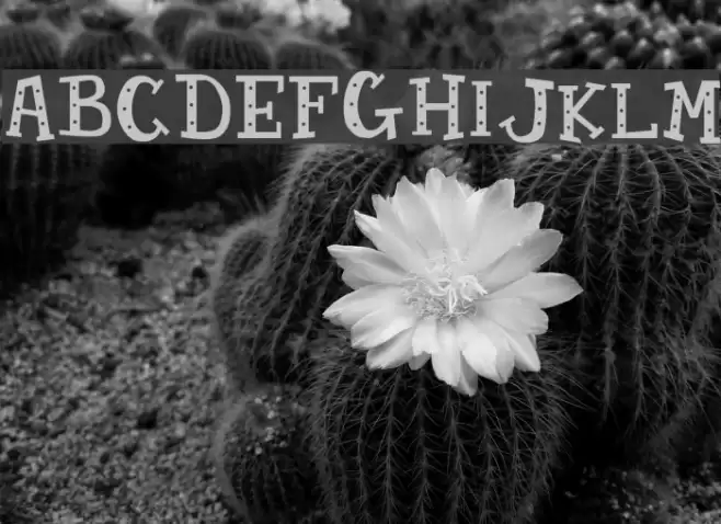 Candy Randy Font examples