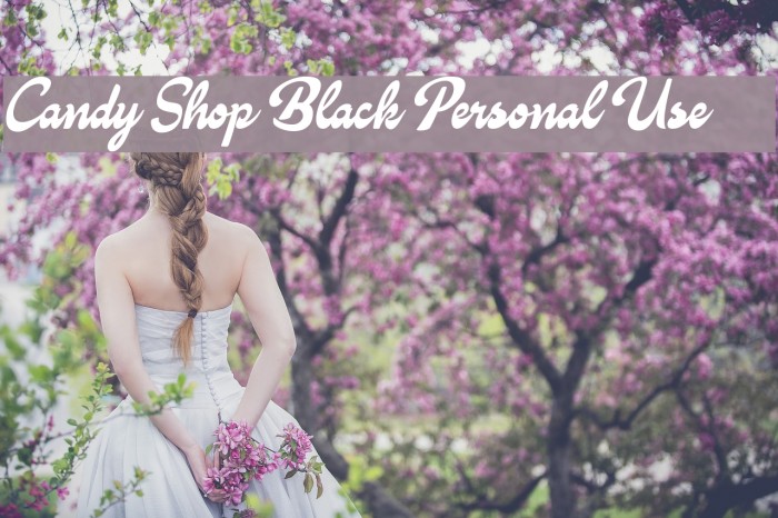 Candy Shop Black Personal Use Font examples