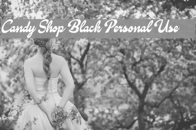 Candy Shop Black Personal Use      Font examples