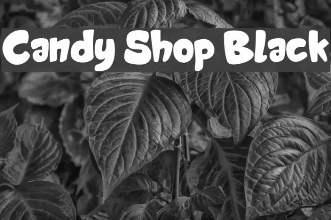 Candy Shop Black Font examples