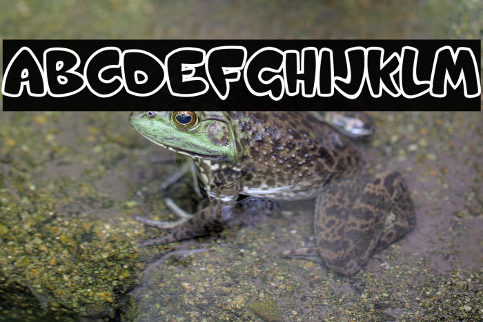 Candy Shop Example 1