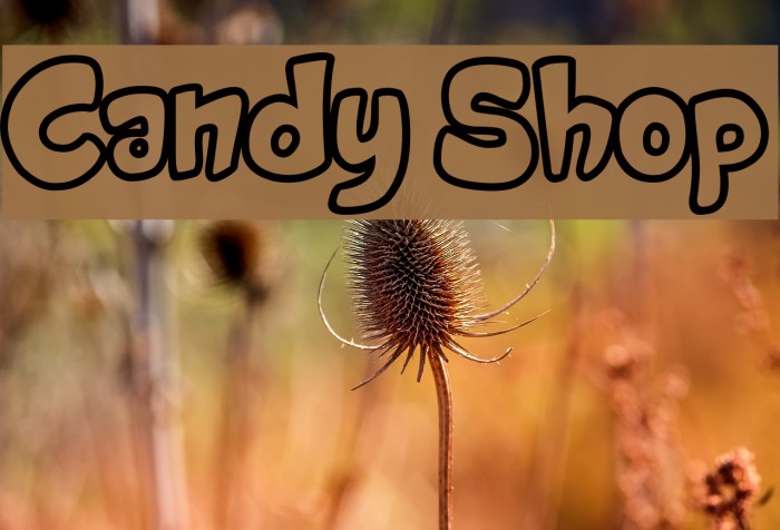 Candy Shop Font examples