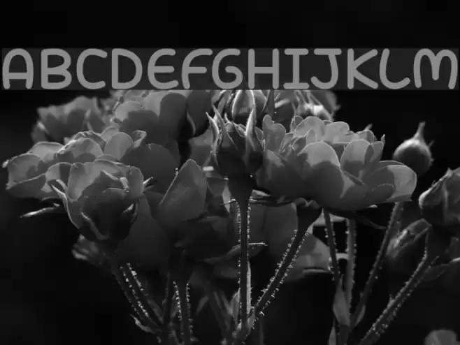 Candy Town Font examples