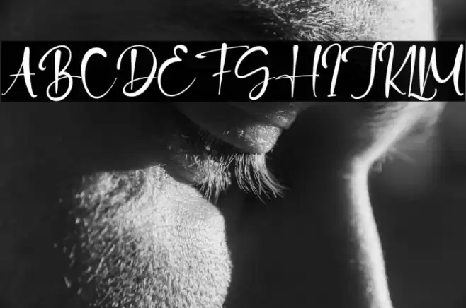 CandyClause خط examples