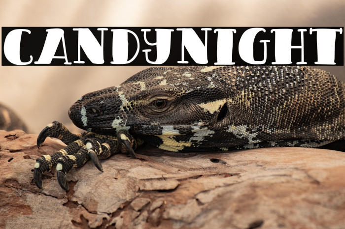 CandyNight Example 3