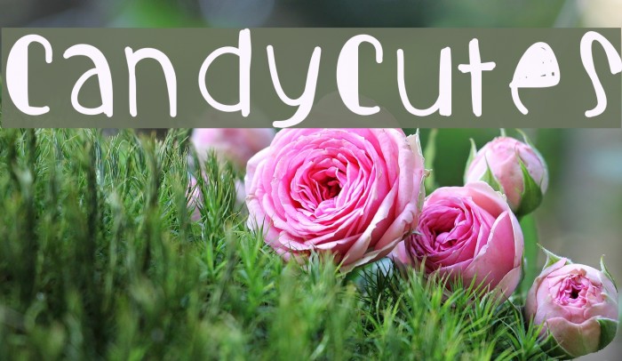 Candycutes Example 1