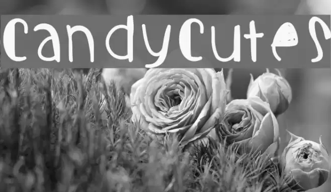 Candycutes Font examples