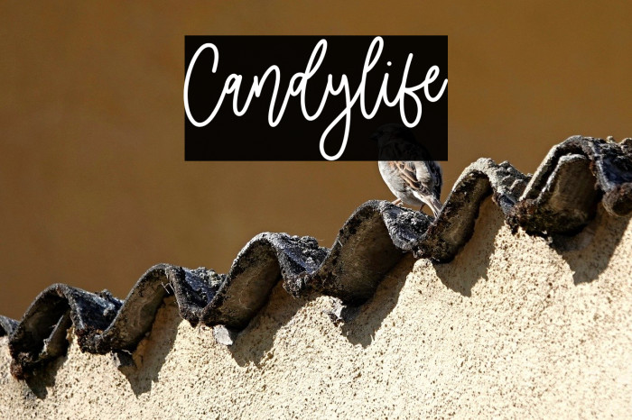 Candylife Example 1