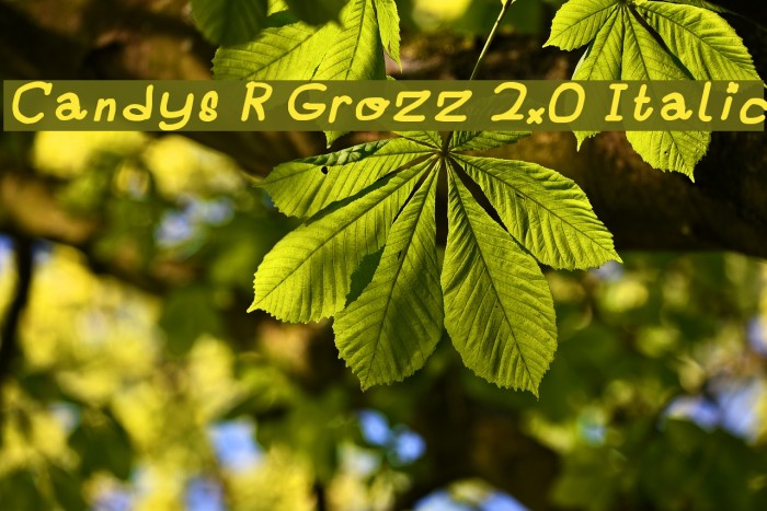 Candys R Grozz 2.0 Italic Font examples