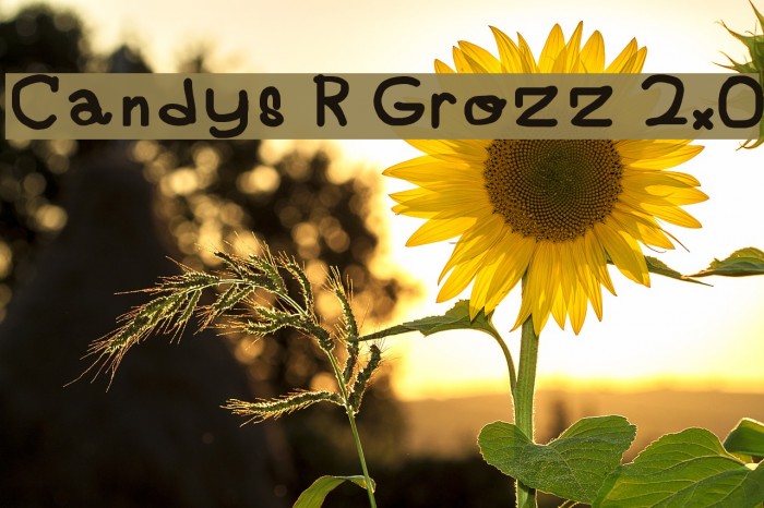 Candys R Grozz 2.0 Font examples