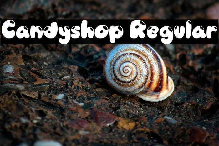Candyshop Regular Example 3
