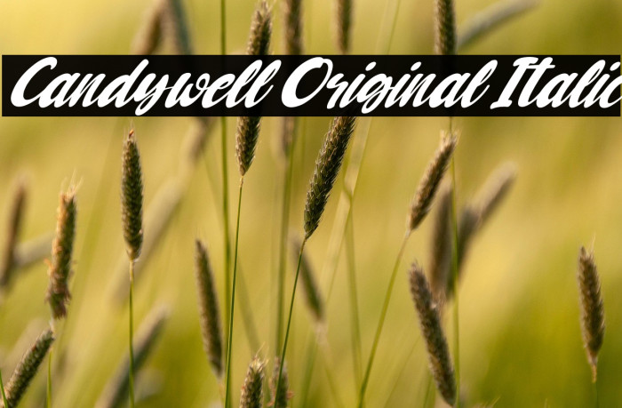 Candywell Original Italic Example 2