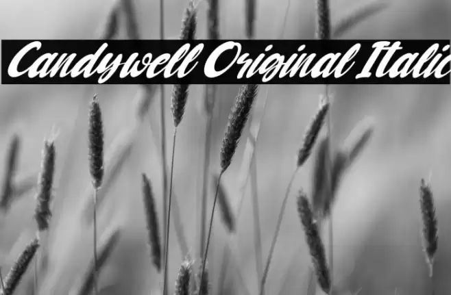 Candywell Original Italic Font examples