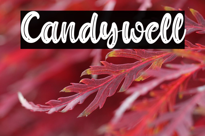 Candywell Example 2