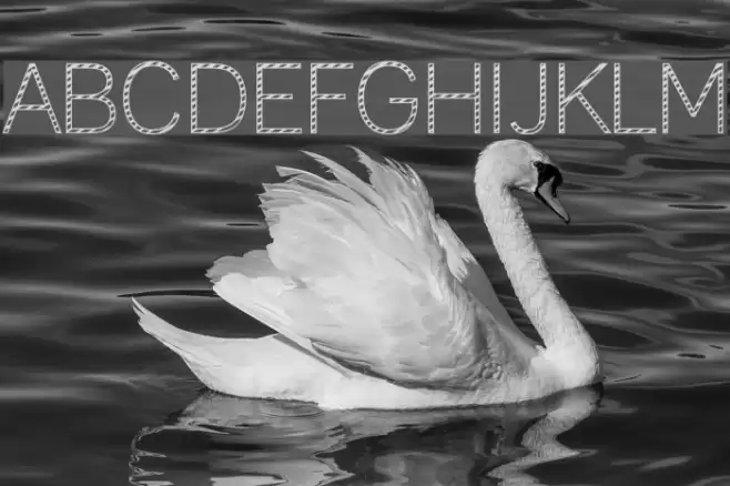 Cane Lane Light Fonte examples