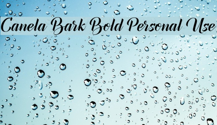 Canela Bark Bold Personal Use Font examples