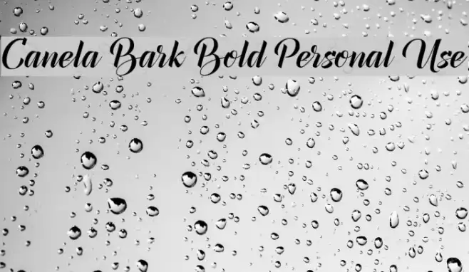 Canela Bark Bold Personal Use Font examples