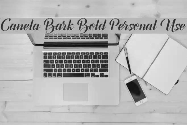 Canela Bark Bold Personal Use Font examples