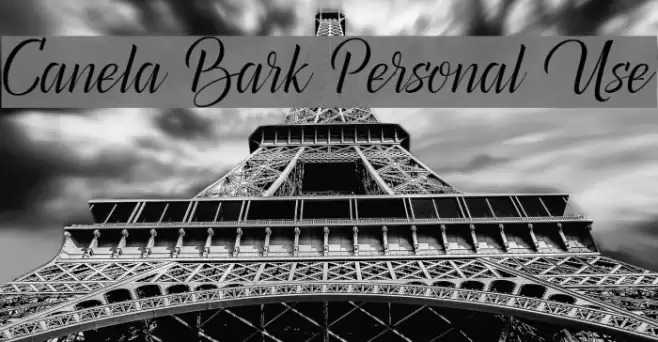 Canela Bark Personal Use Font examples