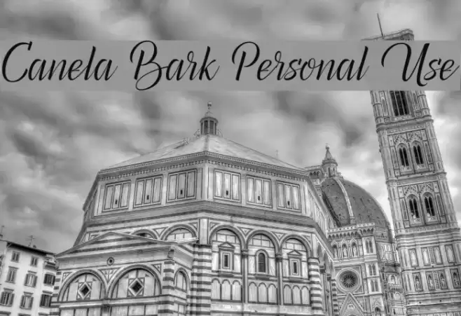 Canela Bark Personal Use Font examples