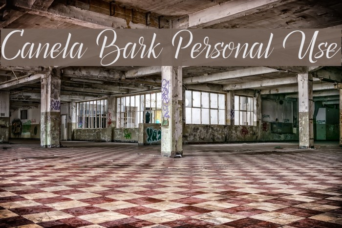 Canela Bark Personal Use Font examples