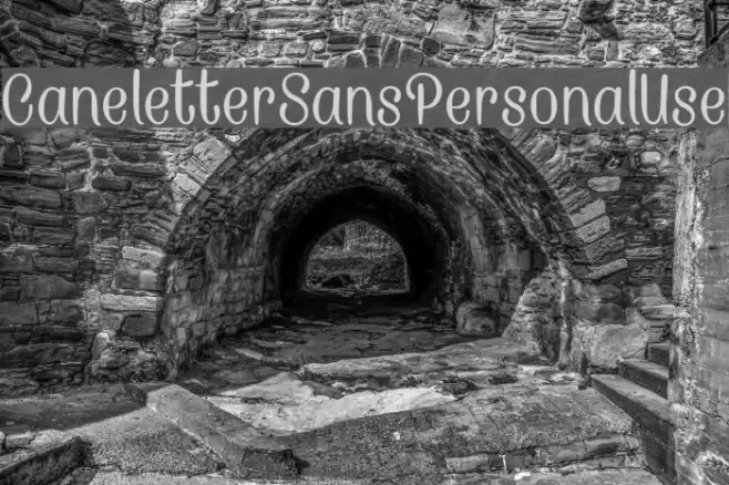 CaneletterSansPersonalUse Font examples