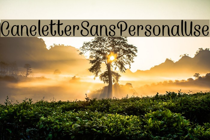 CaneletterSansPersonalUse Fuentes examples