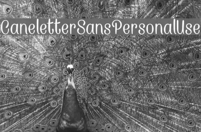 CaneletterSansPersonalUse Font examples